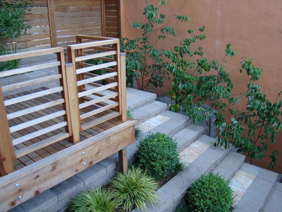 Noe Valley by Randy Thueme Design Inc. - Landscape Architecture - Photo 9