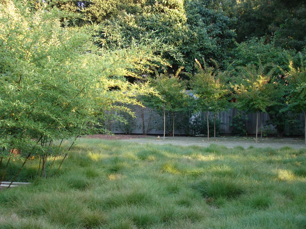 Randy Thueme Design Inc. - Landscape Architecture - Photo 8
