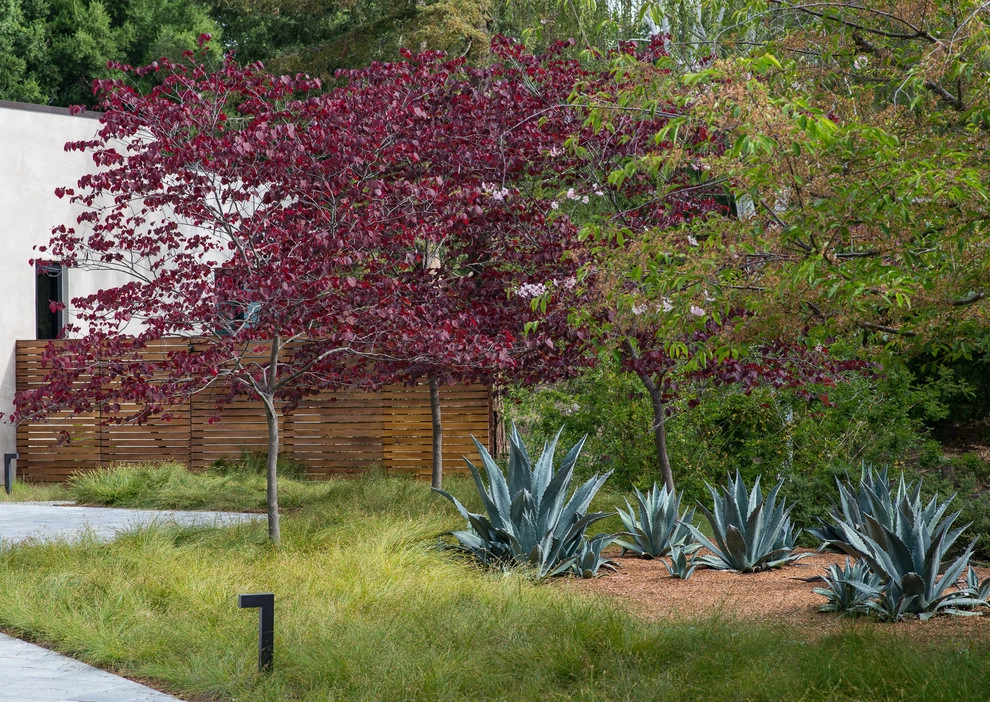 Los Altos Hills by Randy Thueme Design Inc. - Landscape Architecture - Photo 10