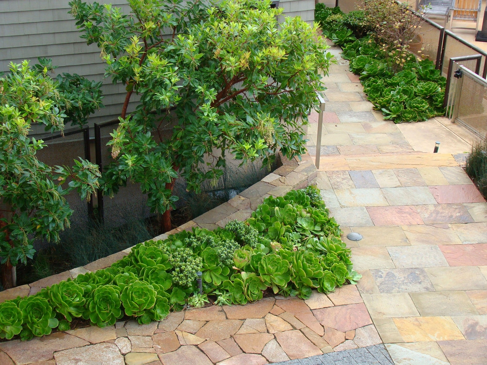 Carmel Highlands by Randy Thueme Design Inc. - Landscape Architecture - Photo 4