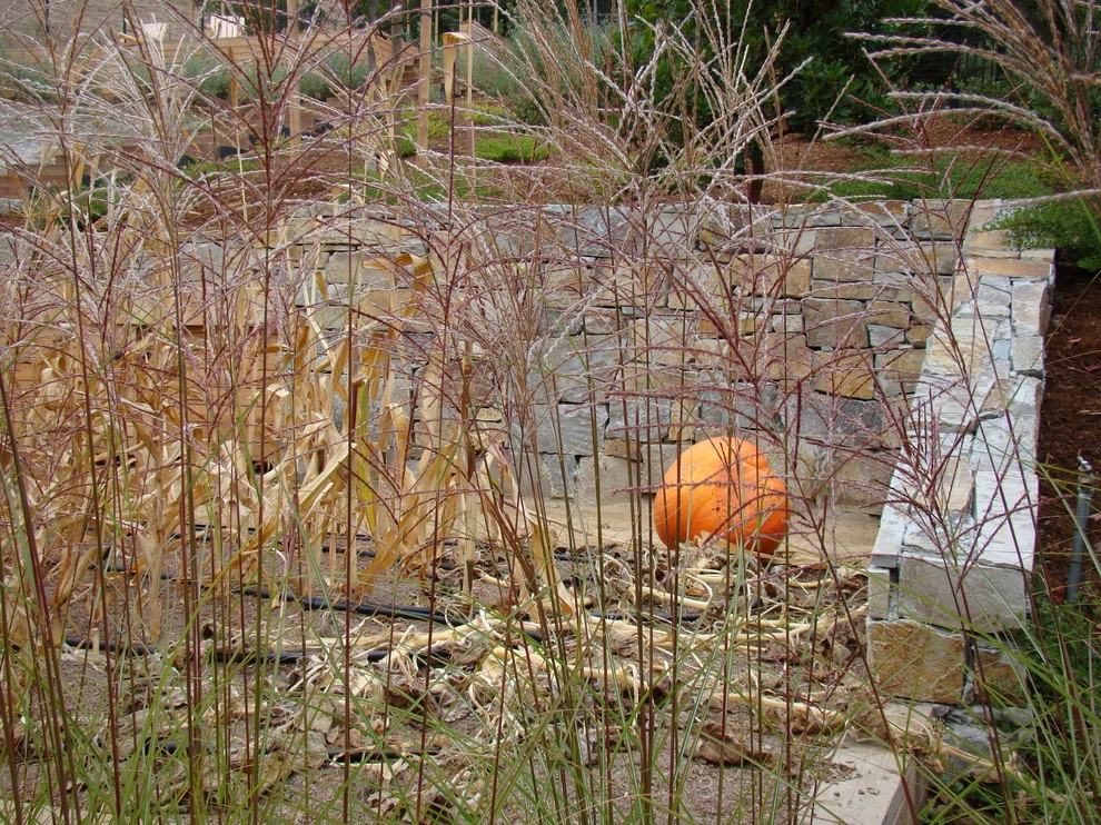 Lafayette by Randy Thueme Design Inc. - Landscape Architecture - Photo 12