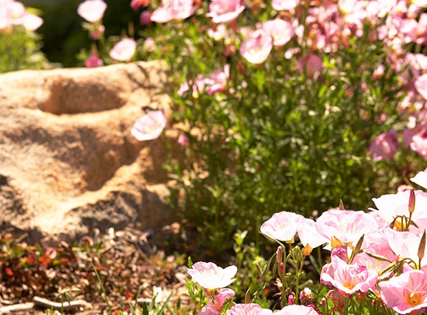 Landscapes by Red Elm Residential & Maintenance - Photo 12