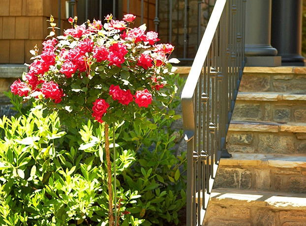 Landscapes by Red Elm Residential & Maintenance - Photo 8