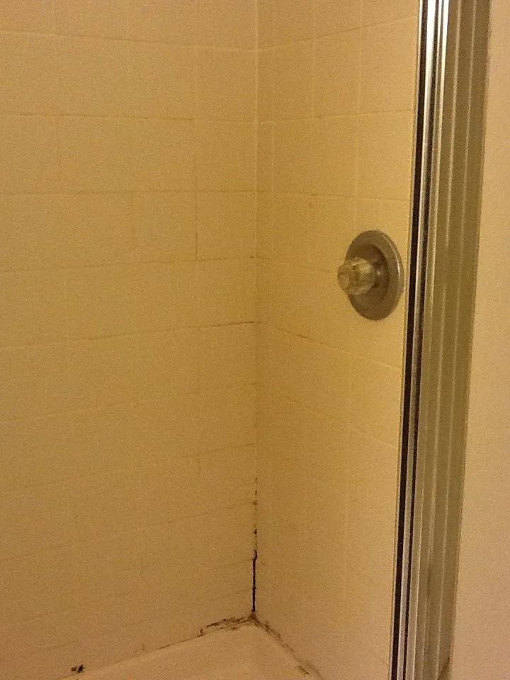 Langcake Primary Bathroom Renovation by Tile Collection - Photo 6