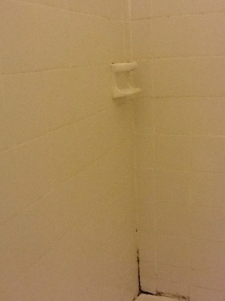 Langcake Primary Bathroom Renovation by Tile Collection - Photo 4
