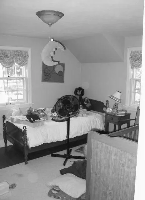 Maple Bluff, WI Classic Master Suite Expansion by Architectural Building Arts, Inc. - Photo 3