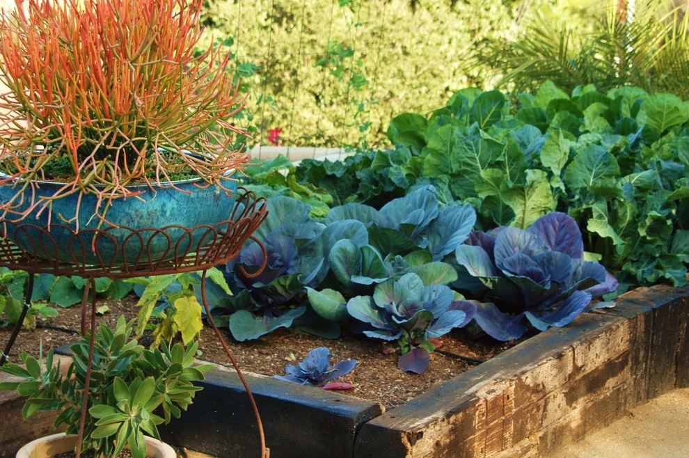 Landscaping by RF Designs - Photo 2
