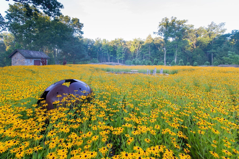 Richard Hartlage Land Morphology - Photo 12