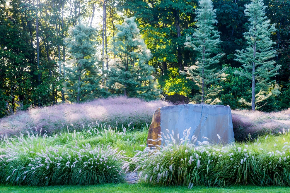 InSitu by Richard Hartlage Land Morphology - Photo 11