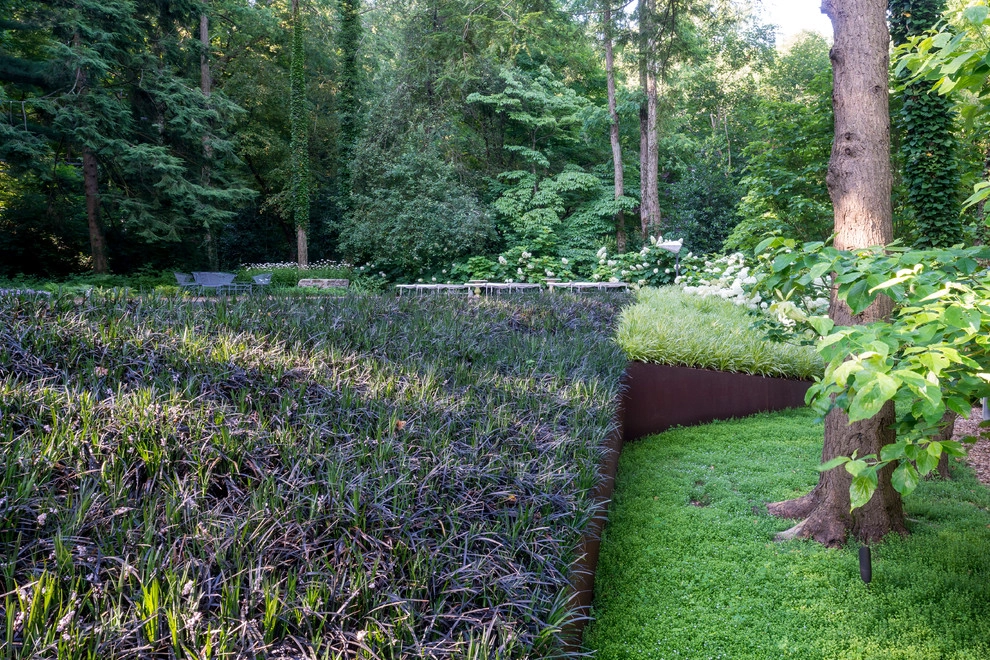 Piermont Estate by Richard Hartlage Land Morphology - Photo 6