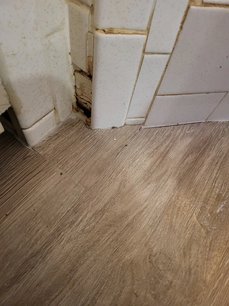 Rudy Rodriguez Painting Remodeling & Granite - Photo 3