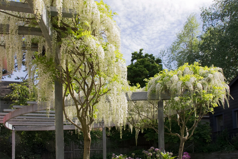 Seattle Residence by Richard Hartlage Land Morphology - Photo 10