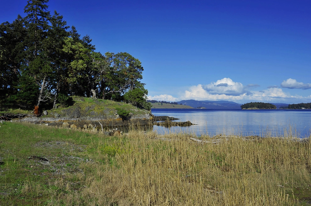 Henry Island Estate by Richard Hartlage Land Morphology - Photo 6
