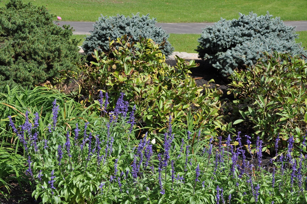 Snyder Residence Dover MA by Richard Kattman Landscape Architecture - Photo 5