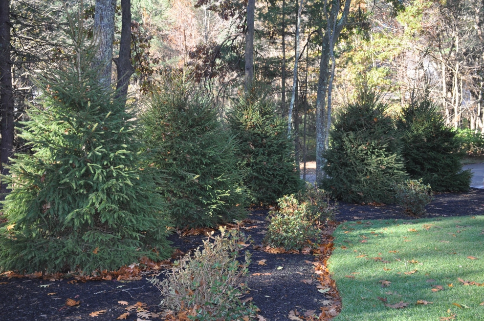 Richard Kattman Landscape Architecture - Photo 13