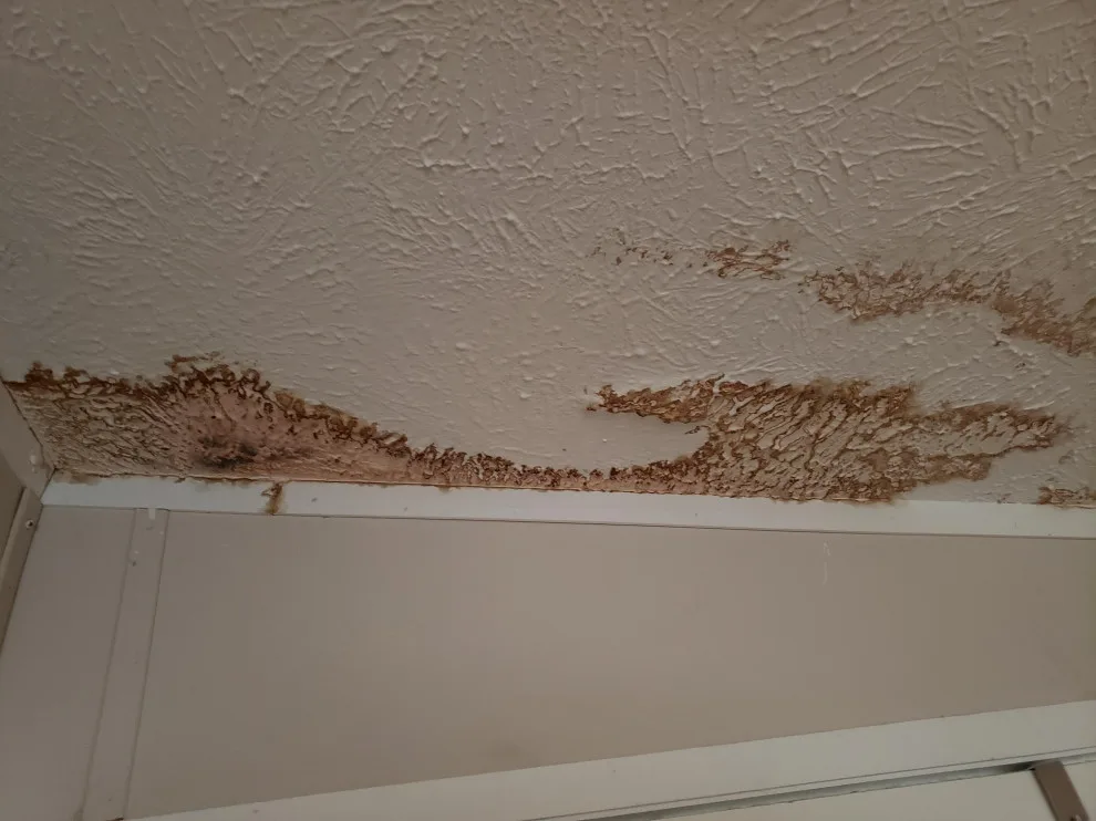 Real Estate Recovery Services - Photo 5