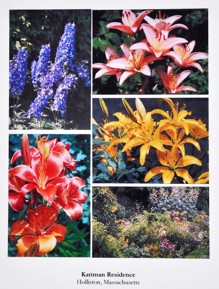 Kattman Ressidence by Richard Kattman Landscape Architecture - Photo 4