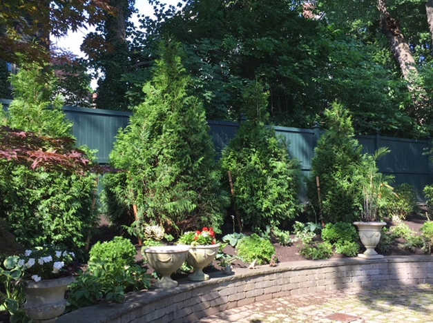 Brookline Residence Griggs Road by Richard Kattman Landscape Architecture - Photo 3