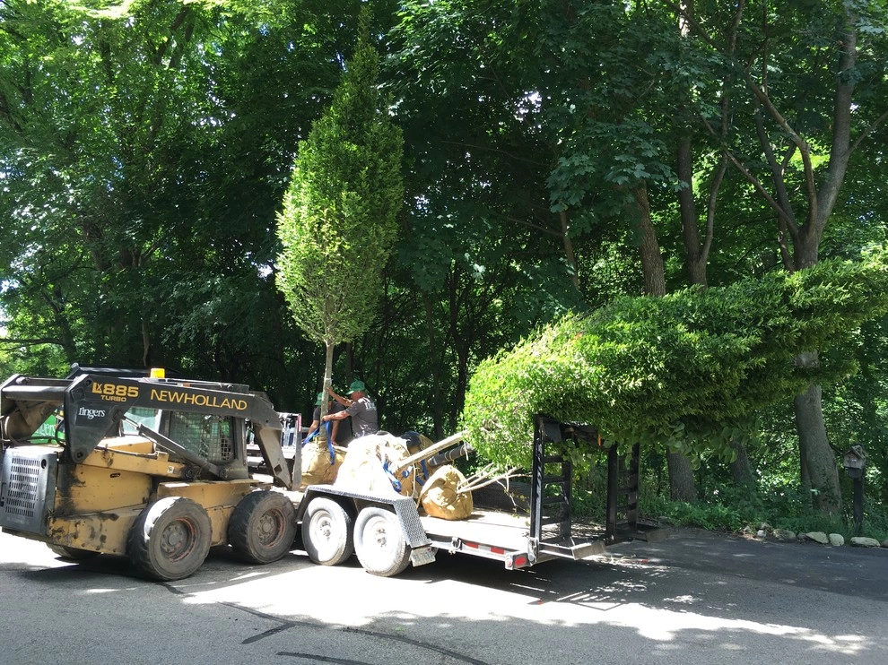 Gardening & Plants by Ringers Landscape Services, Inc. - Photo 73