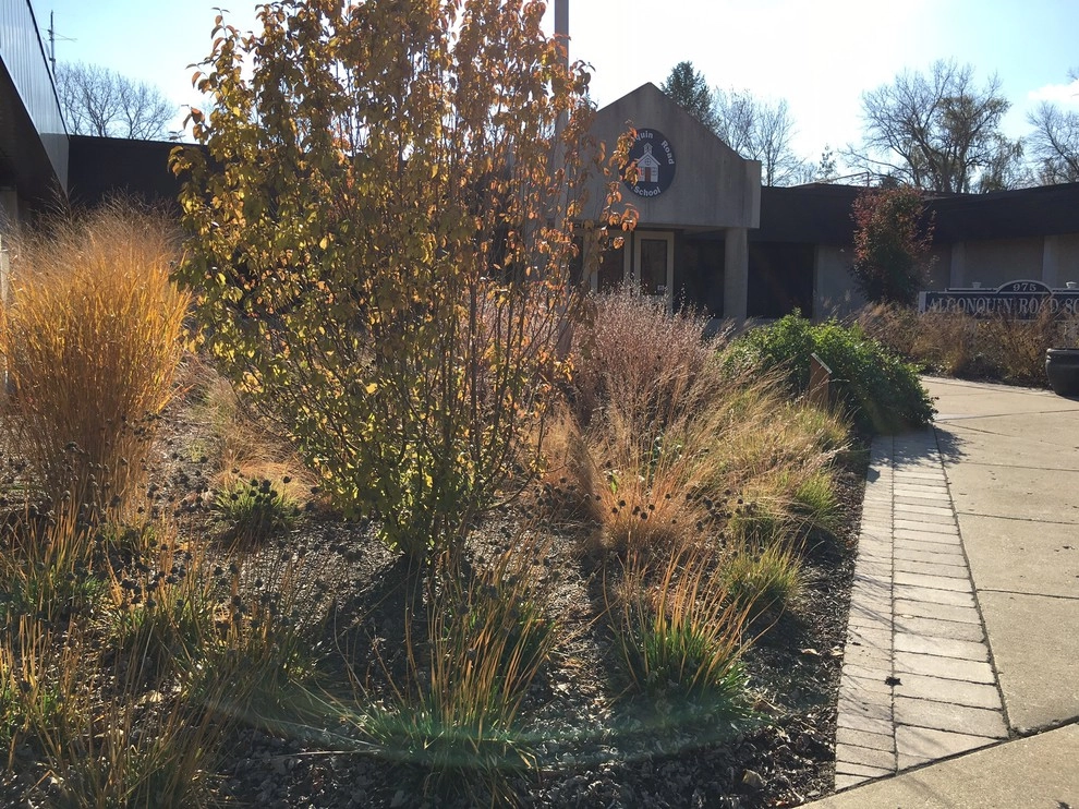 Gardening & Plants by Ringers Landscape Services, Inc. - Photo 10