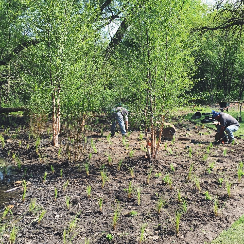 Gardening & Plants by Ringers Landscape Services, Inc. - Photo 71