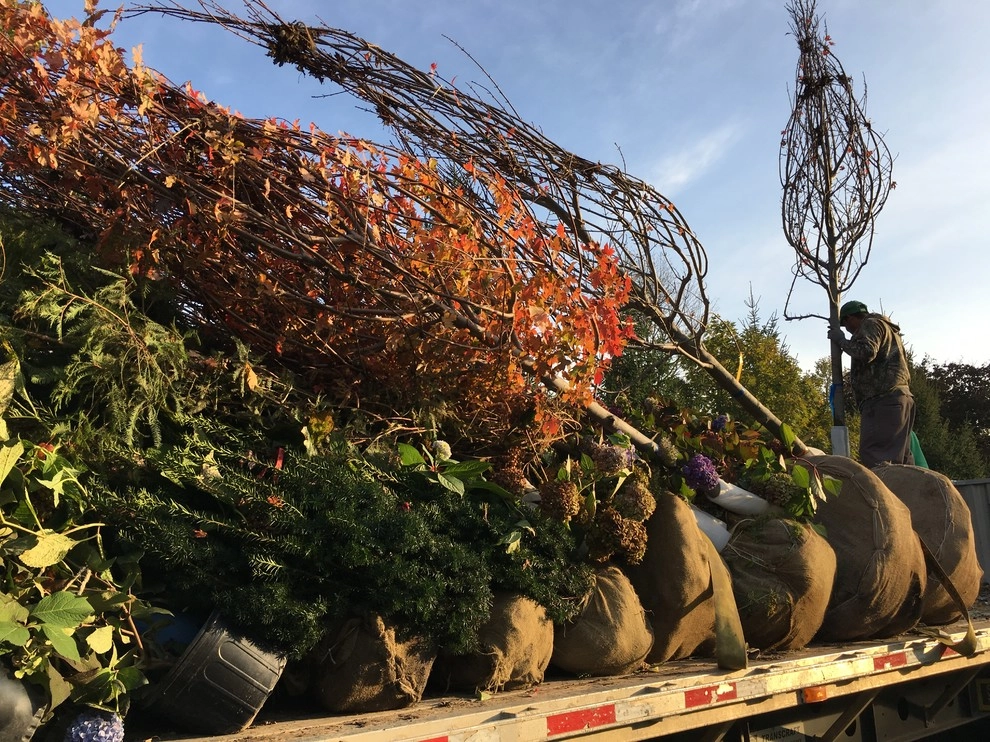 Gardening & Plants by Ringers Landscape Services, Inc. - Photo 66