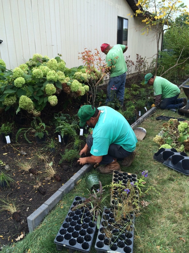 Gardening & Plants by Ringers Landscape Services, Inc. - Photo 20
