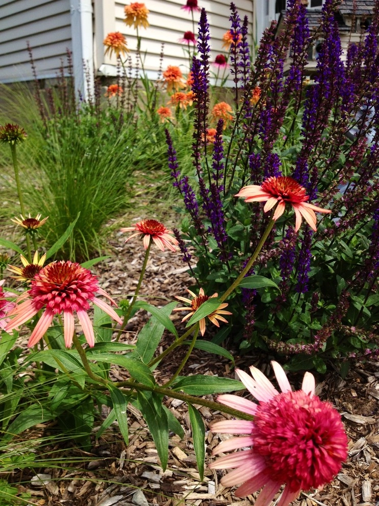 Gardening & Plants by Ringers Landscape Services, Inc. - Photo 63