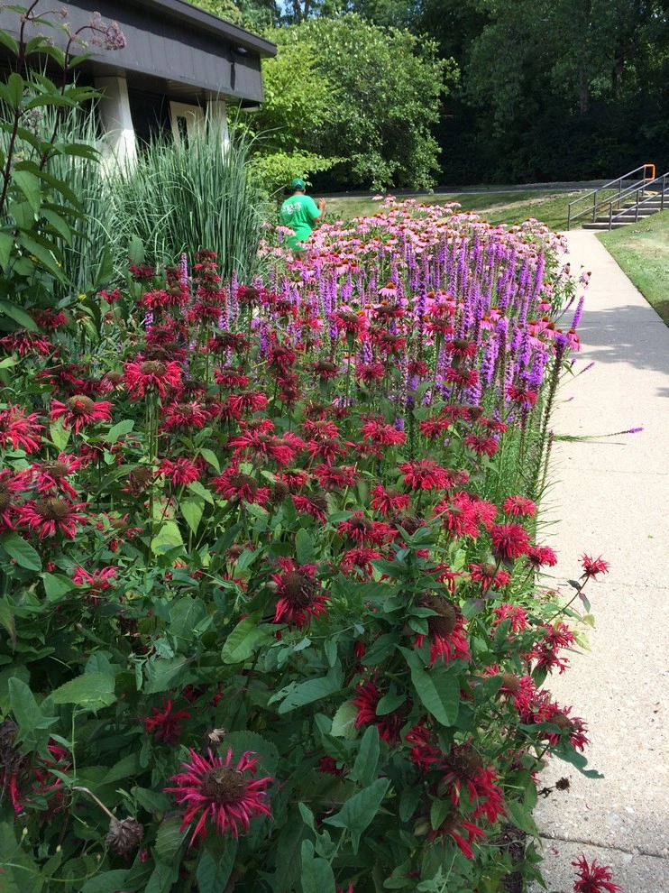 Ringers Landscape Services, Inc. - Photo 11
