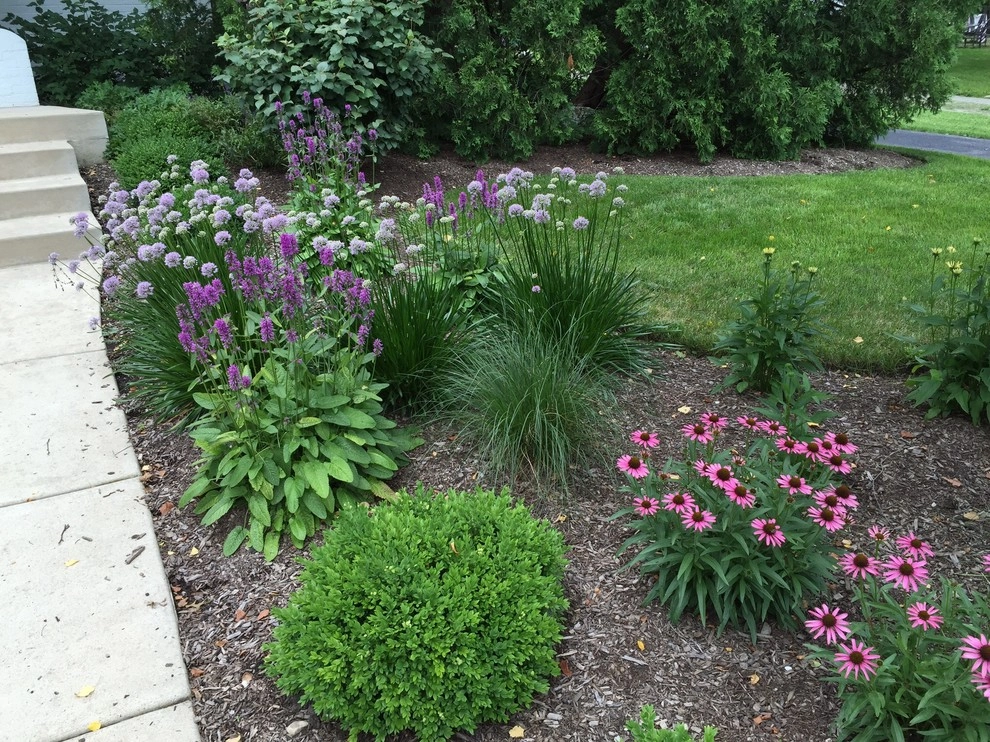 Gardening & Plants by Ringers Landscape Services, Inc. - Photo 21