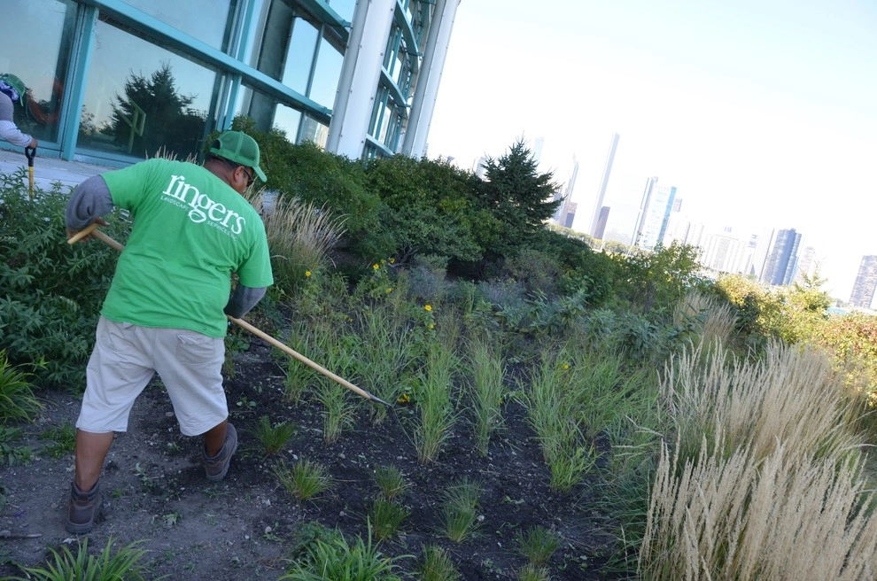Gardening & Plants by Ringers Landscape Services, Inc. - Photo 57