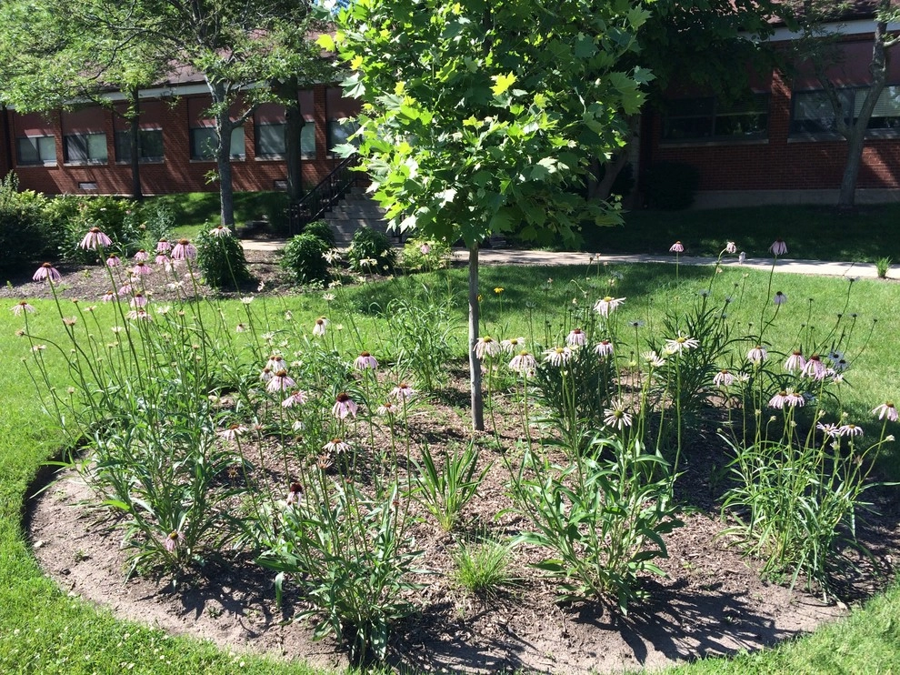 Gardening & Plants by Ringers Landscape Services, Inc. - Photo 62