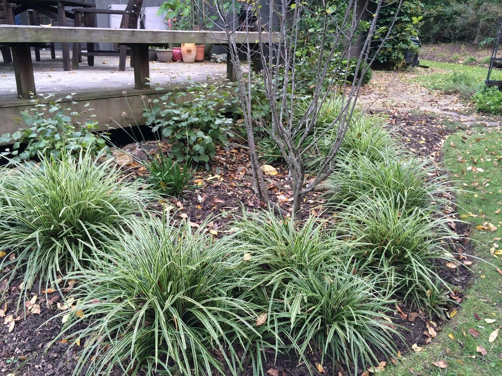 Gardening & Plants by Ringers Landscape Services, Inc. - Photo 24