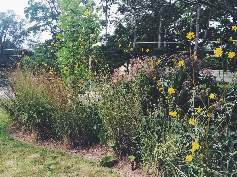 Gardening & Plants by Ringers Landscape Services, Inc. - Photo 4