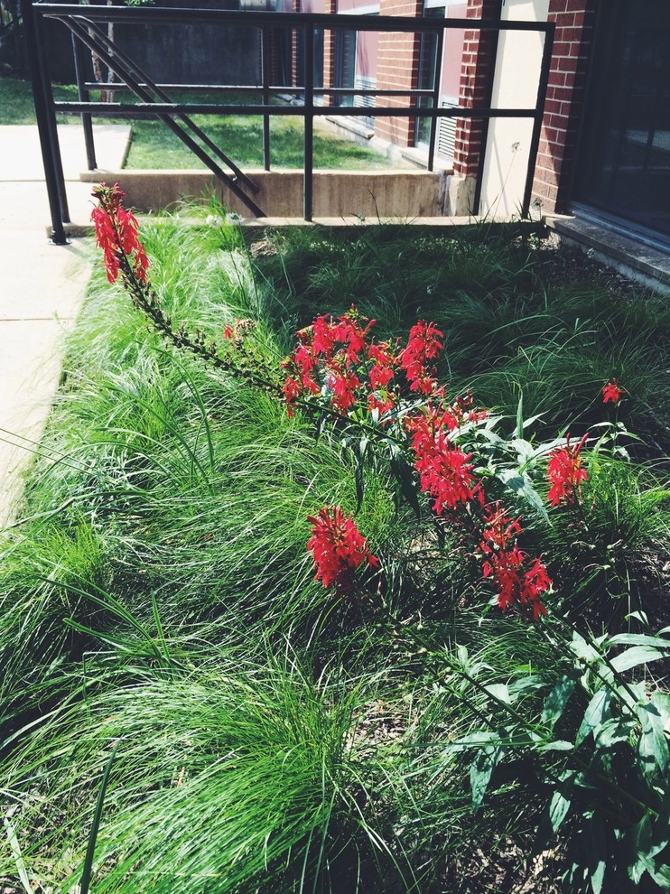 Gardening & Plants by Ringers Landscape Services, Inc. - Photo 74