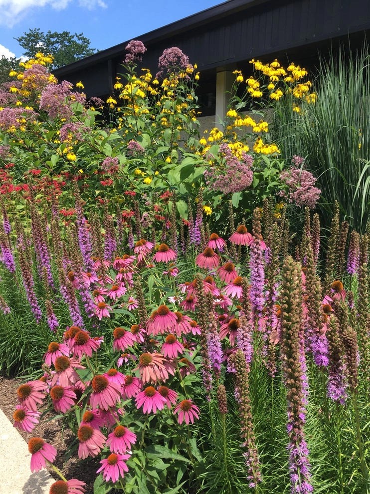 Gardening & Plants by Ringers Landscape Services, Inc. - Photo 98