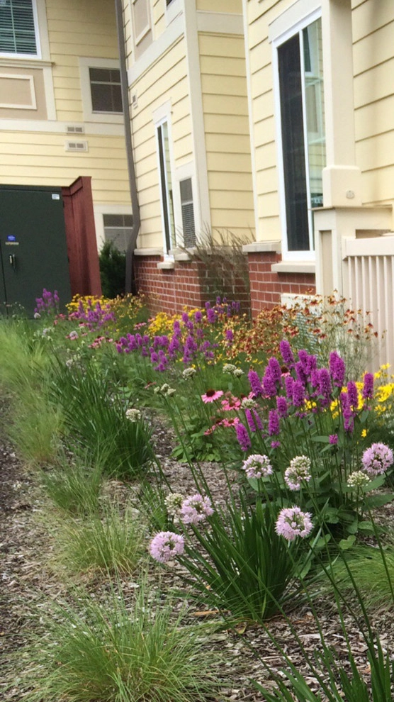 Gardening & Plants by Ringers Landscape Services, Inc. - Photo 64