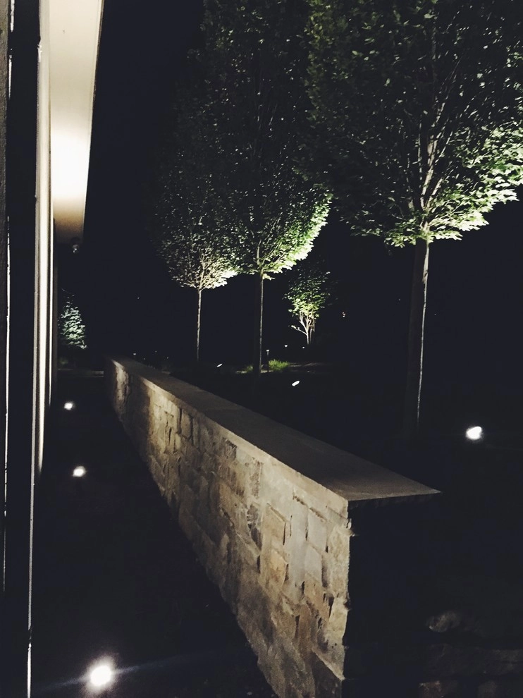 Contemporary Transformation by Ringers Landscape Services, Inc. - Photo 41