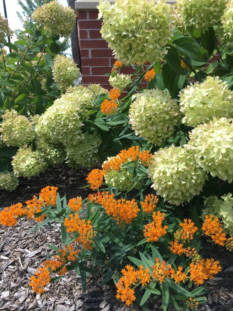 Gardening & Plants by Ringers Landscape Services, Inc. - Photo 99