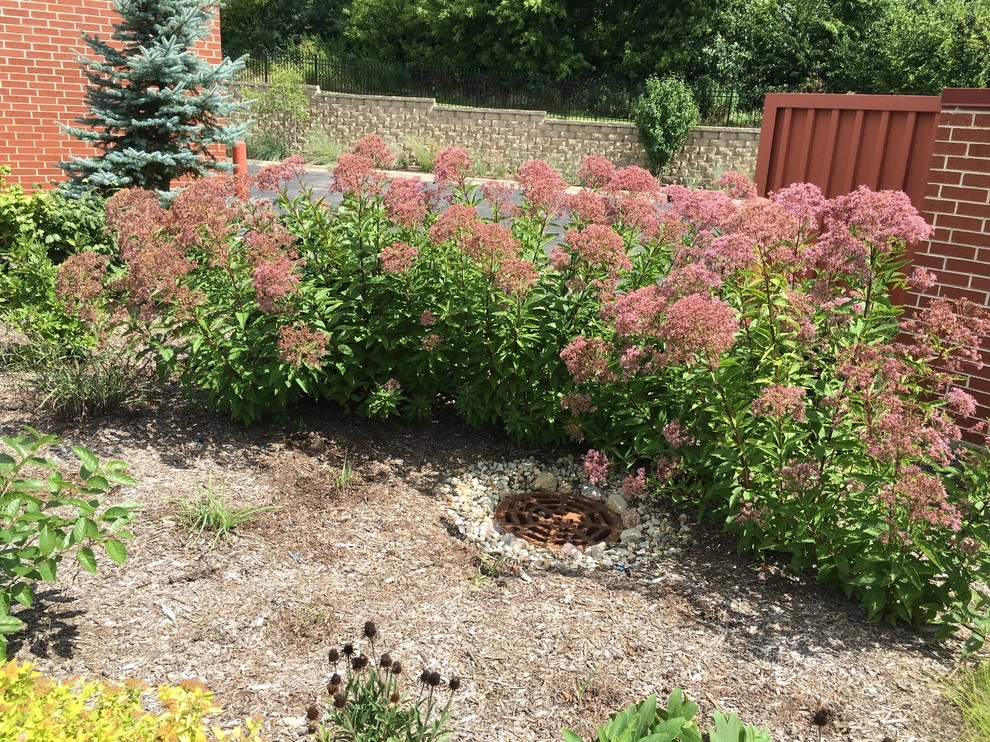 Ringers Landscape Services, Inc. - Photo 12
