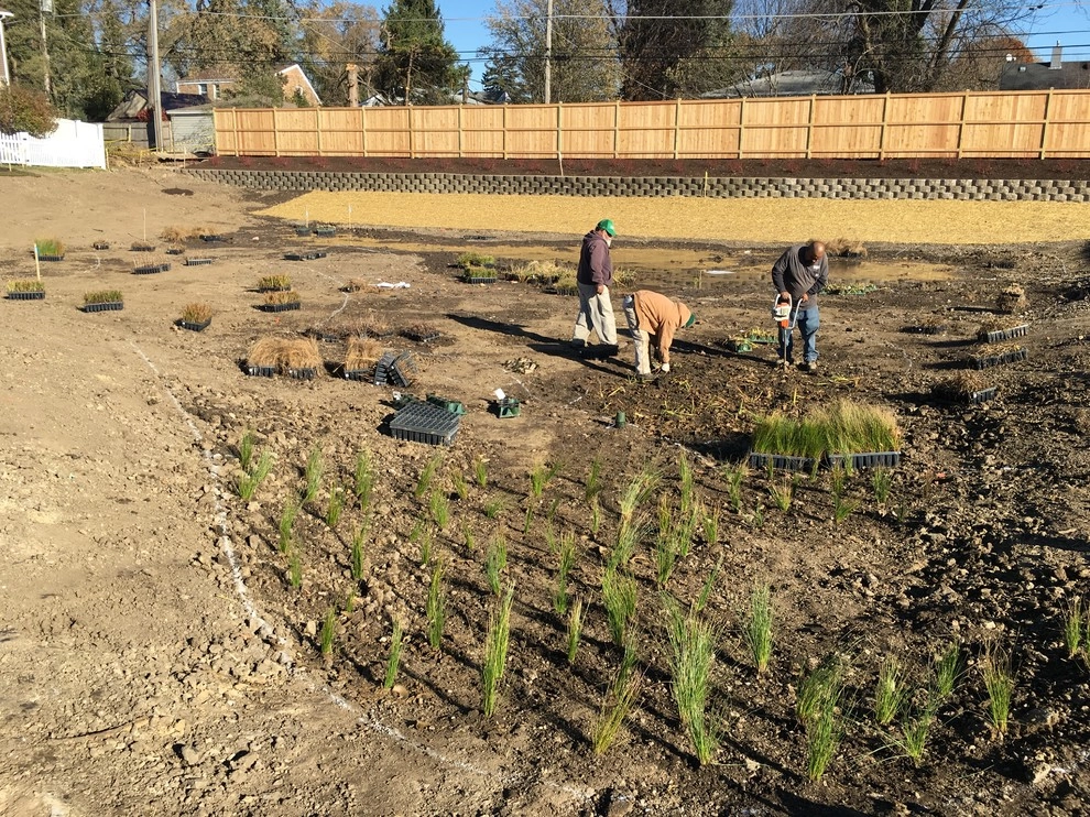 Gardening & Plants by Ringers Landscape Services, Inc. - Photo 35
