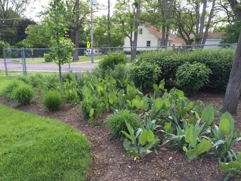 Gardening & Plants by Ringers Landscape Services, Inc. - Photo 59