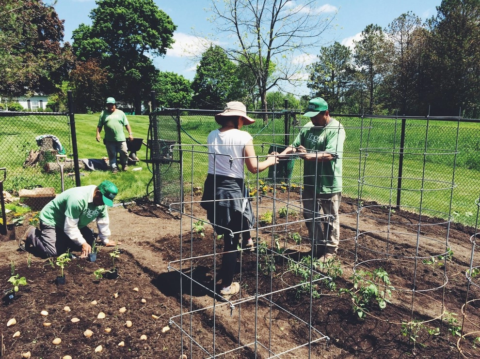 Gardening & Plants by Ringers Landscape Services, Inc. - Photo 90