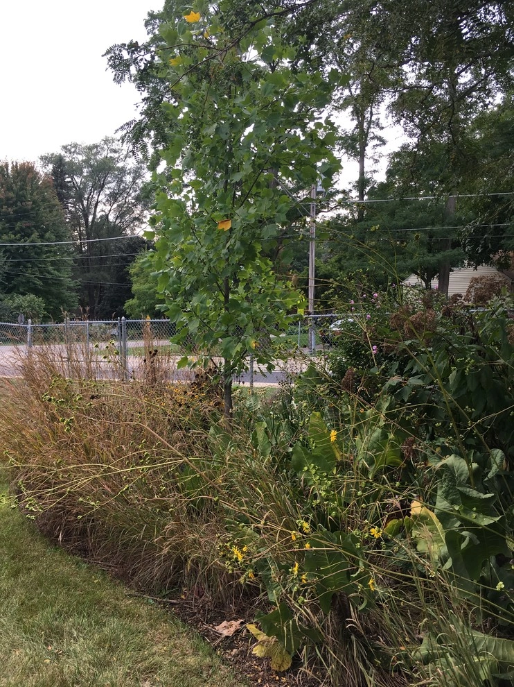 Gardening & Plants by Ringers Landscape Services, Inc. - Photo 37