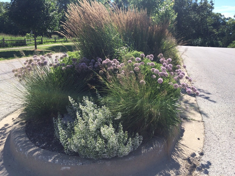 Gardening & Plants by Ringers Landscape Services, Inc. - Photo 65