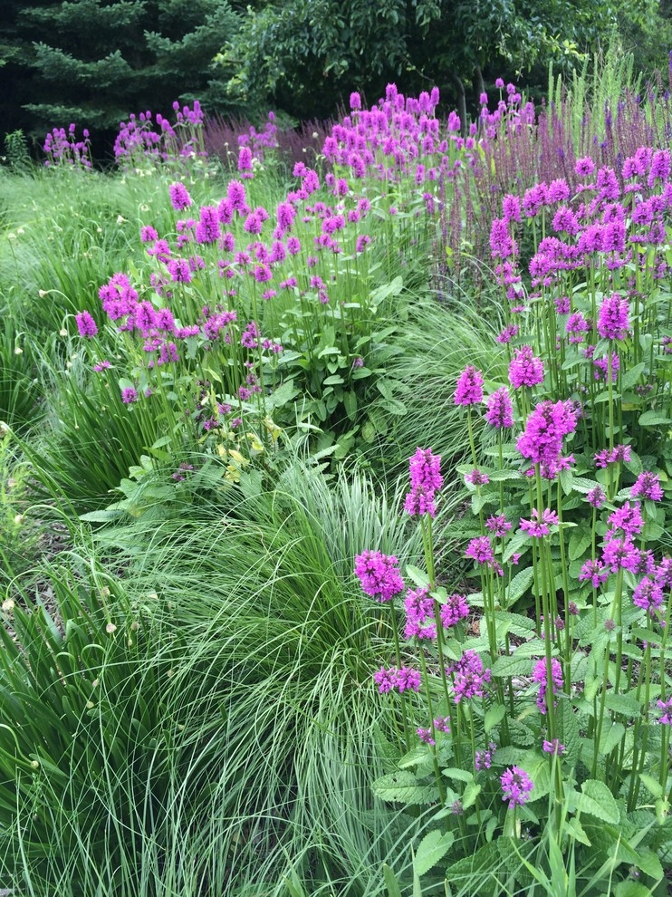 Gardening & Plants by Ringers Landscape Services, Inc. - Photo 31