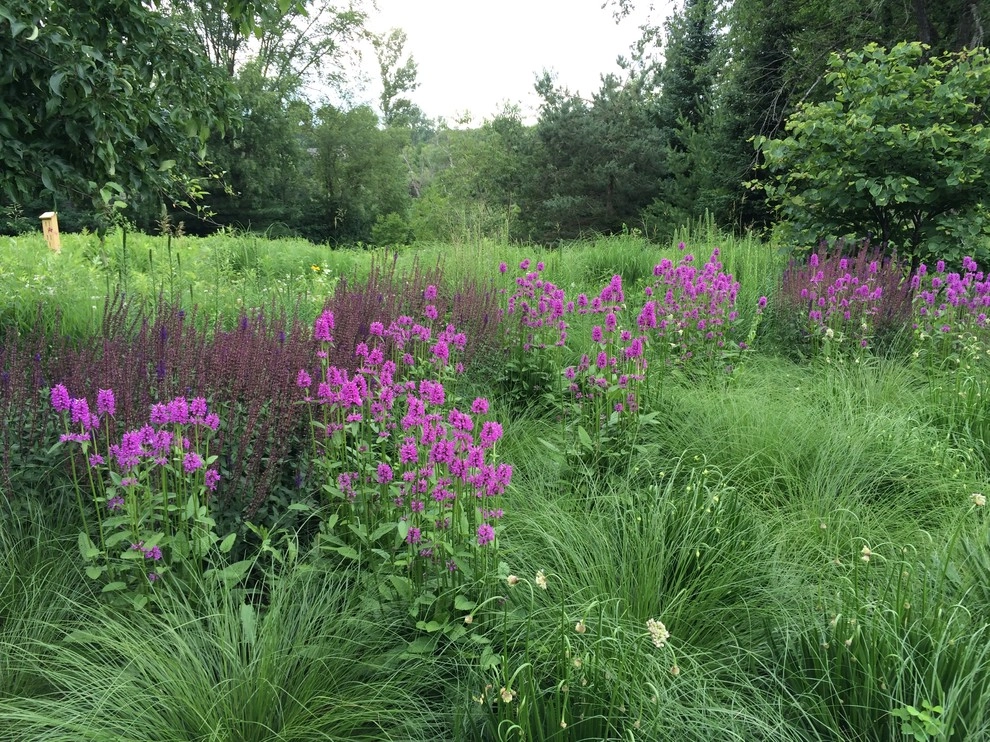 Gardening & Plants by Ringers Landscape Services, Inc. - Photo 53