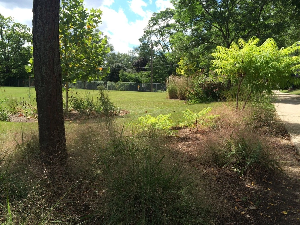 Gardening & Plants by Ringers Landscape Services, Inc. - Photo 61