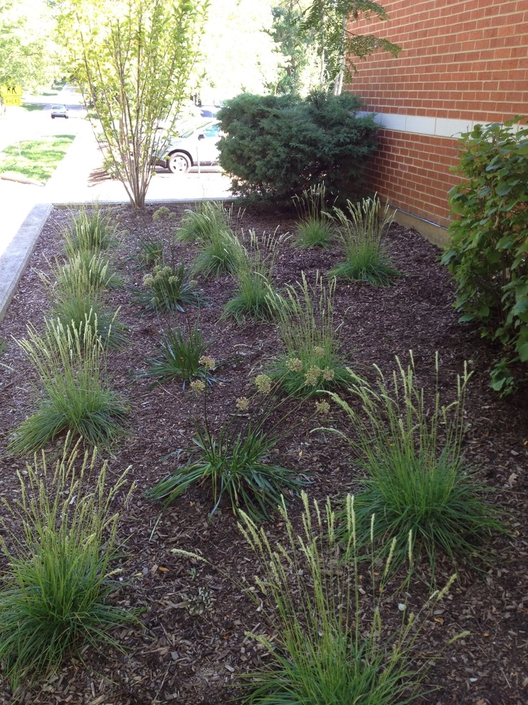 Gardening & Plants by Ringers Landscape Services, Inc. - Photo 23