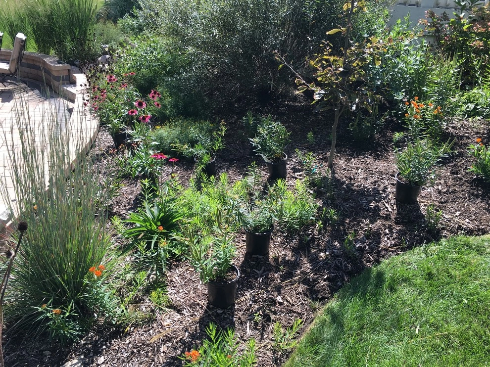 Gardening & Plants by Ringers Landscape Services, Inc. - Photo 80